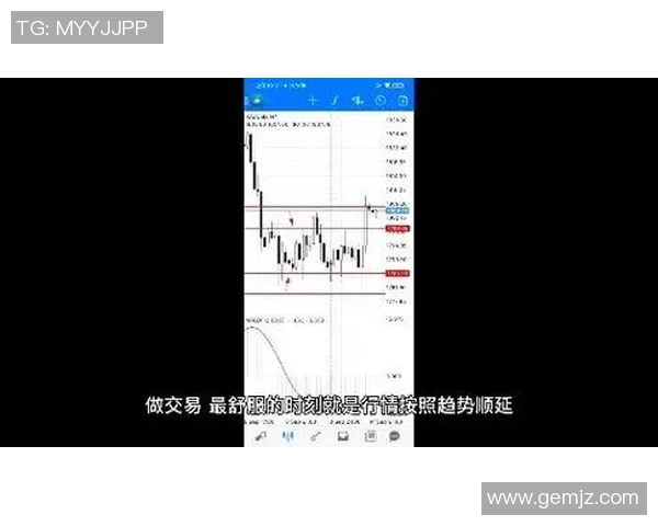 独家分析：南京羽毛球队的心理素质对比