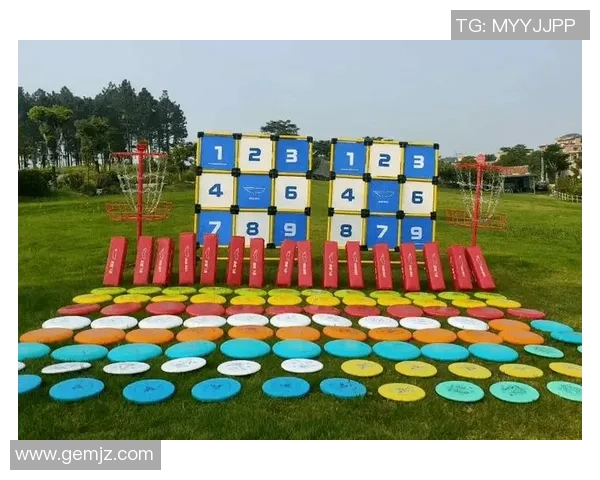 飞盘灵活性排行榜：武汉飞盘队位居第9名